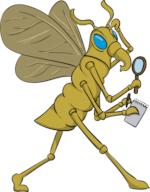 detectiu