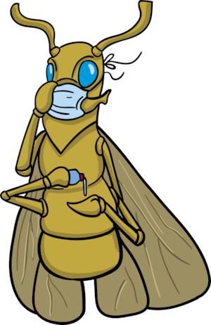mascareta