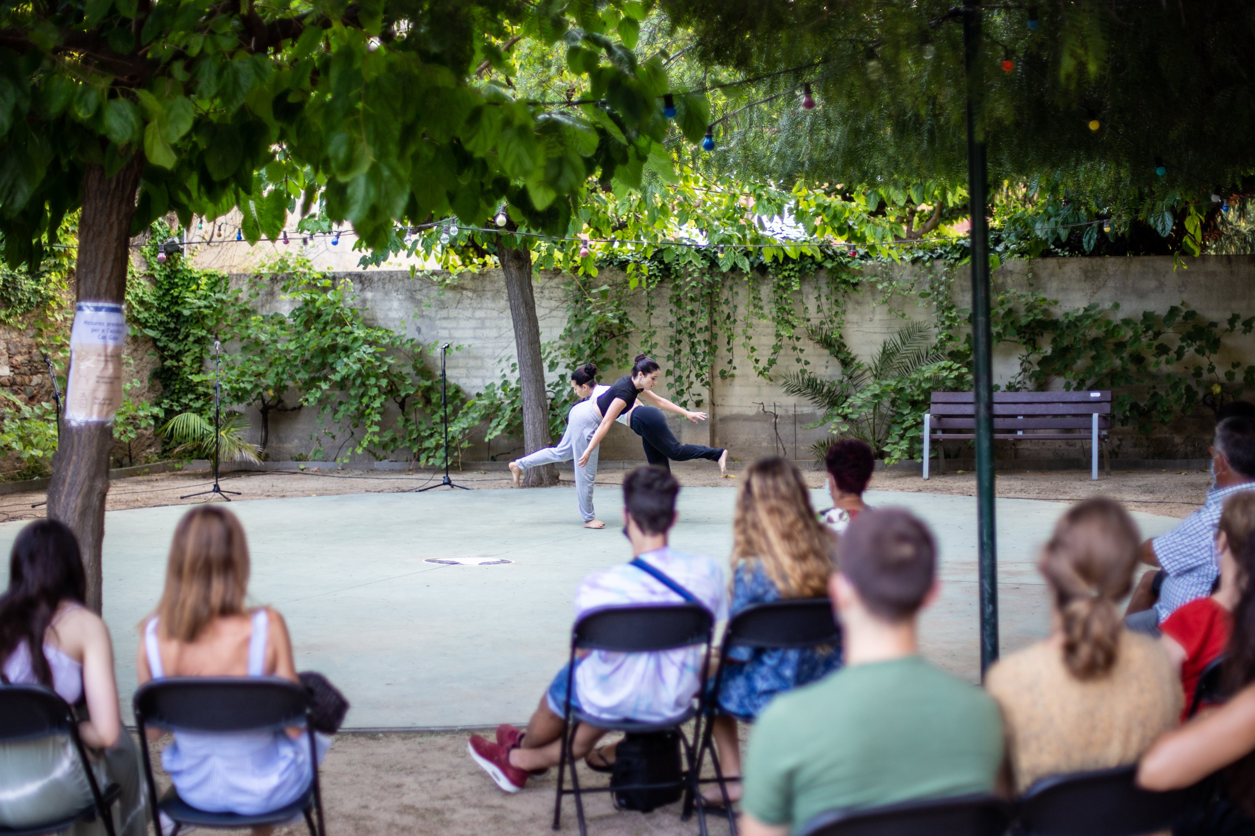 Fil�loxera Dansa