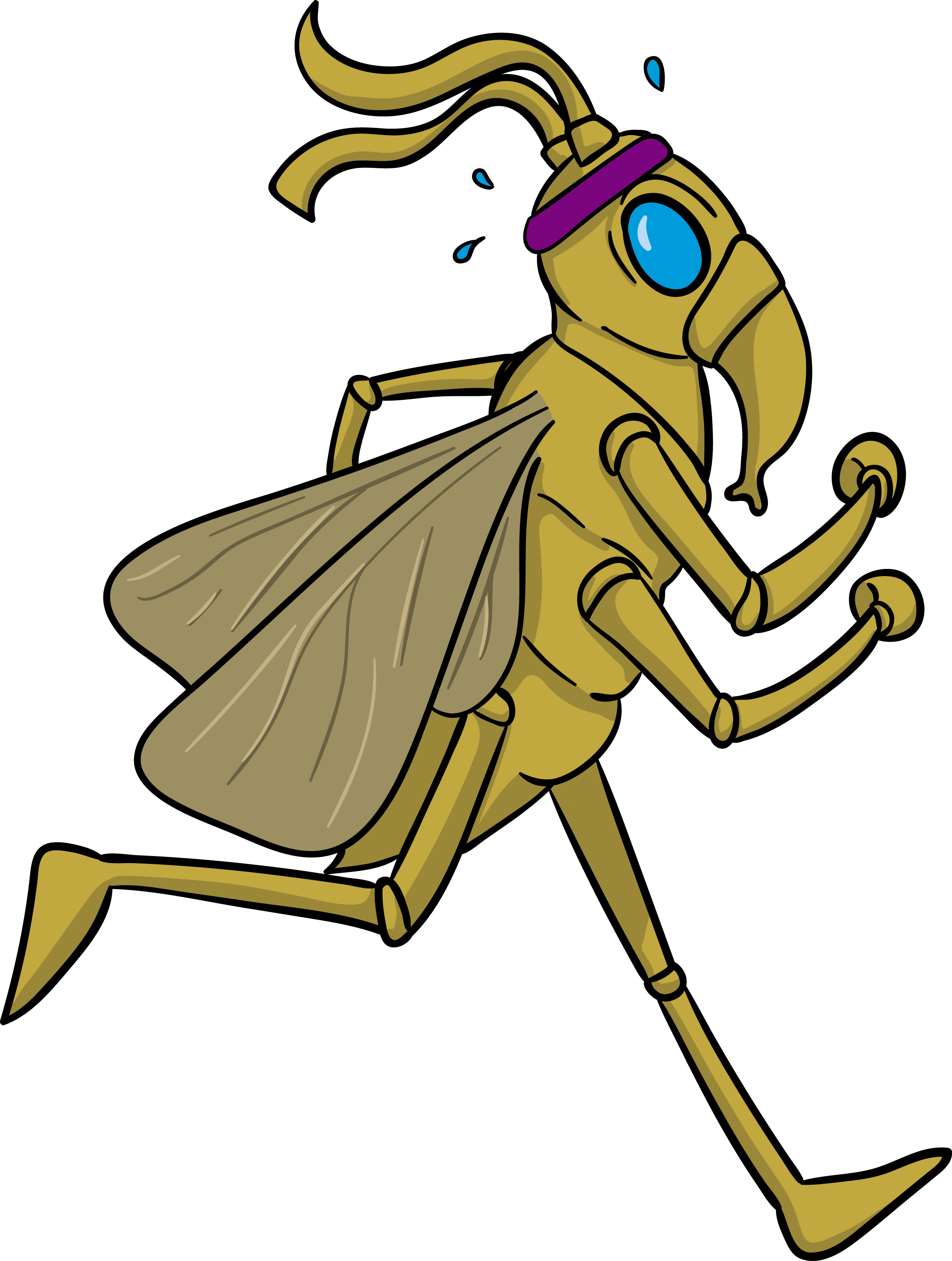cursa