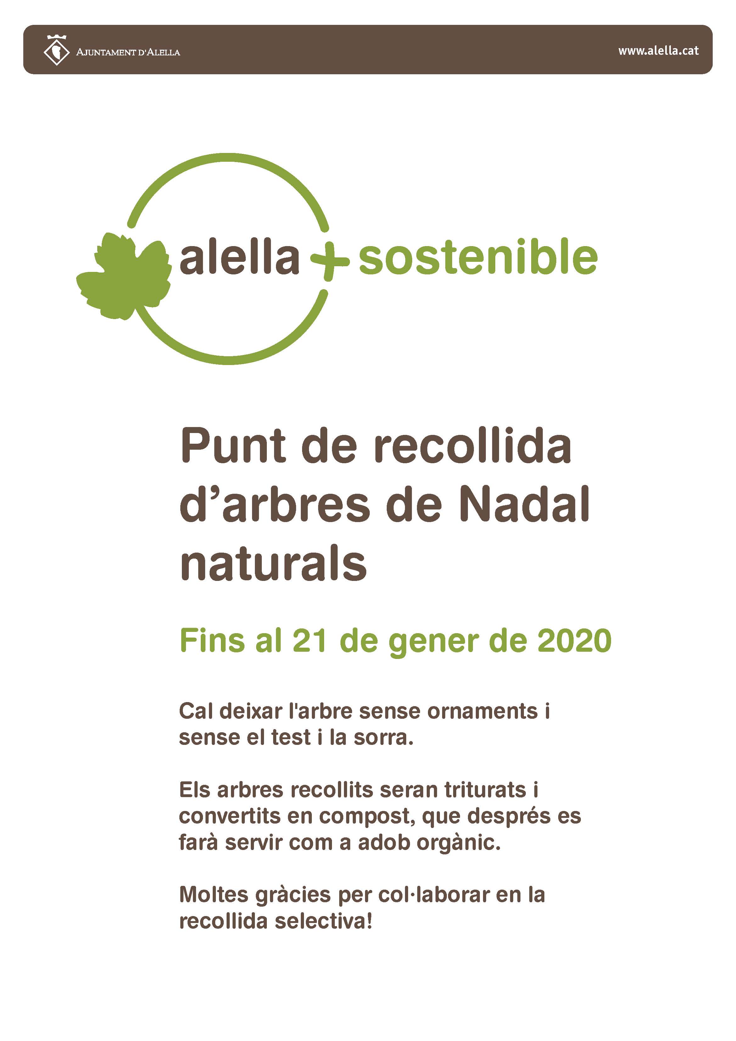 Arbres de Nadal