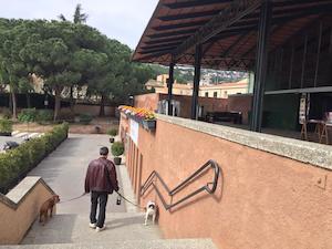 Passejada gossos