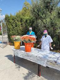 Flors per a les residències