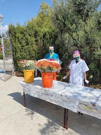 Flors per a les resid&egrave;ncies