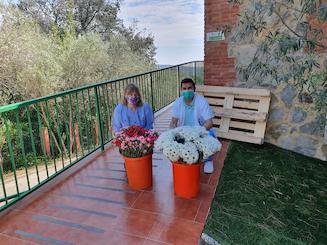 Flors a la residència