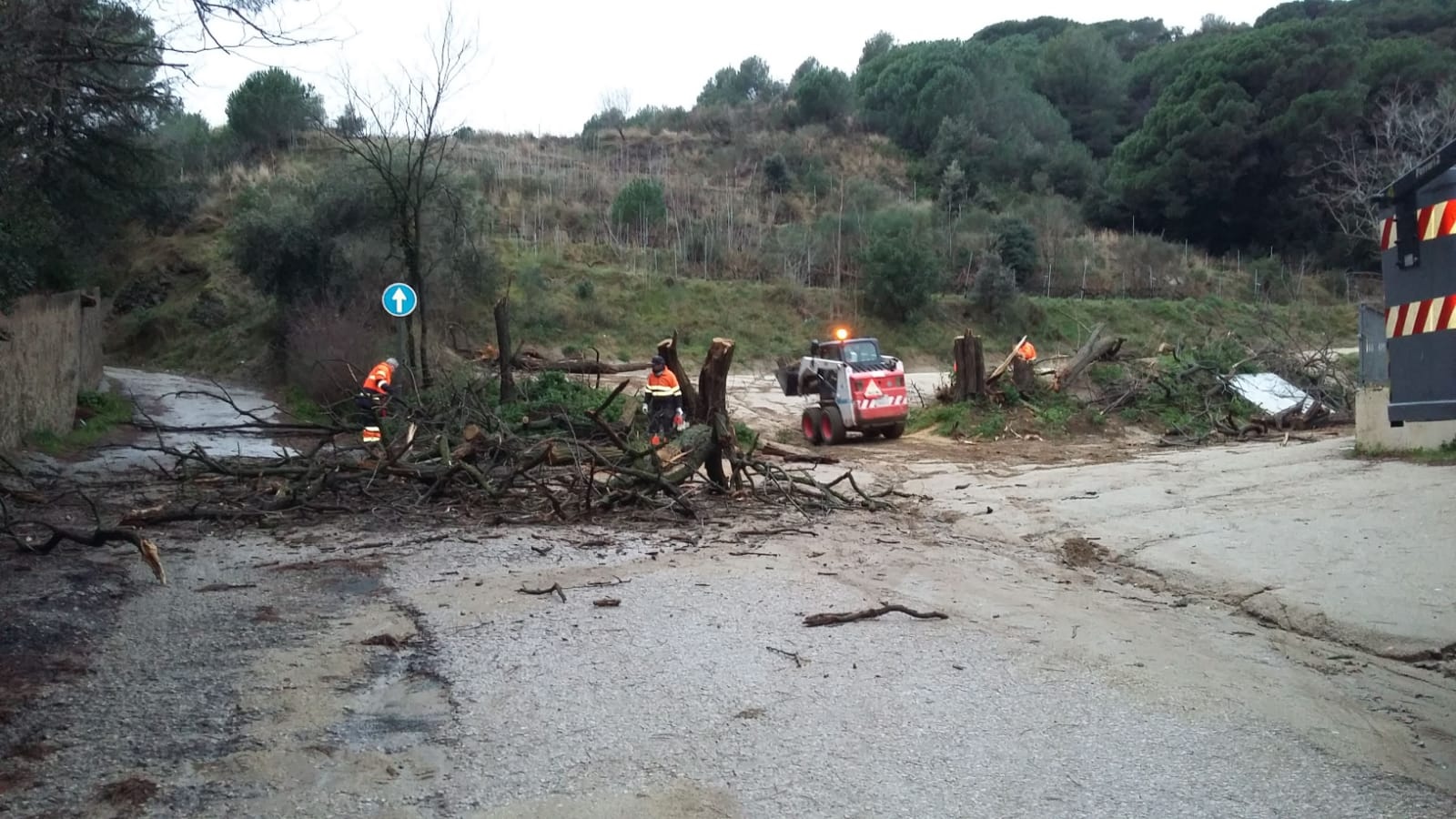 Temporal Gl�ria