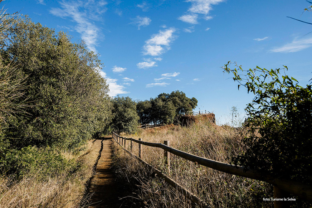 Vilobi-Sant-Dalmai