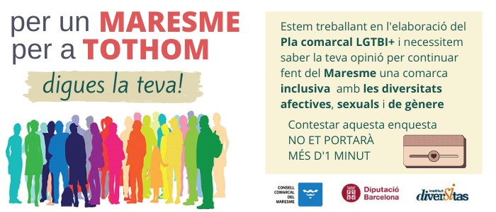 Enquesta LGTBI