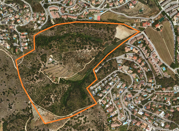 Batuda senglars 11 de juliol