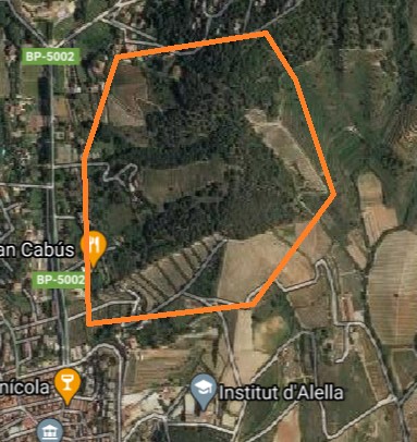 Batuda 19 de mar�