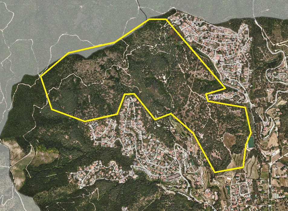 Batuda porcs senglars 8 de desembre