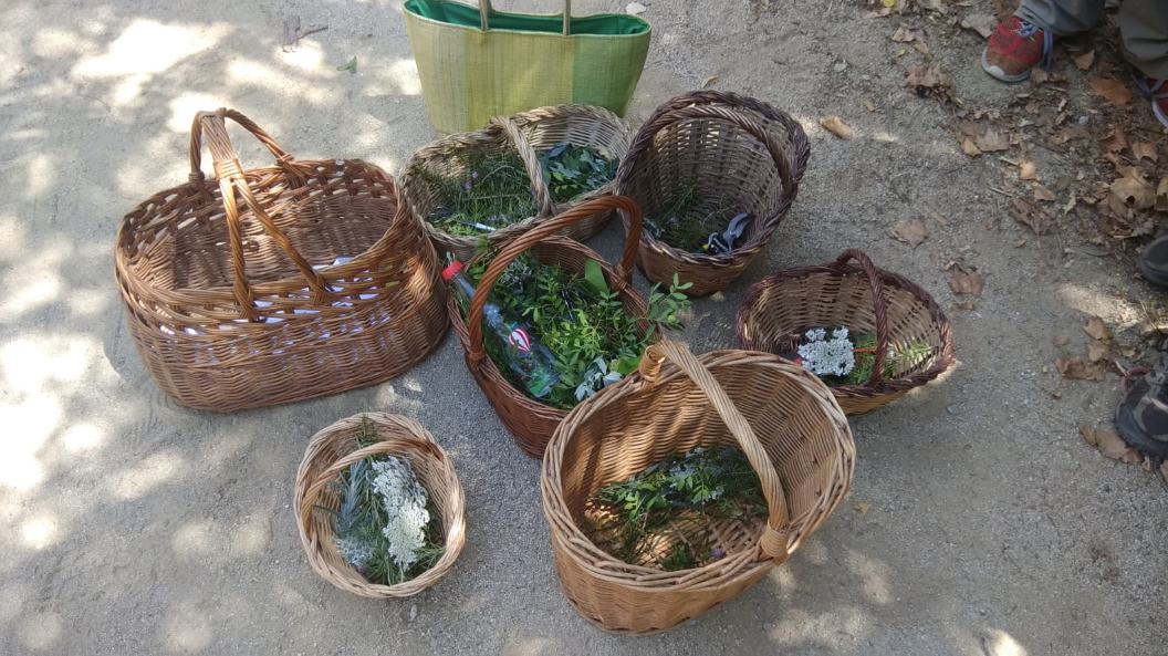 Foto itinerari ratafia