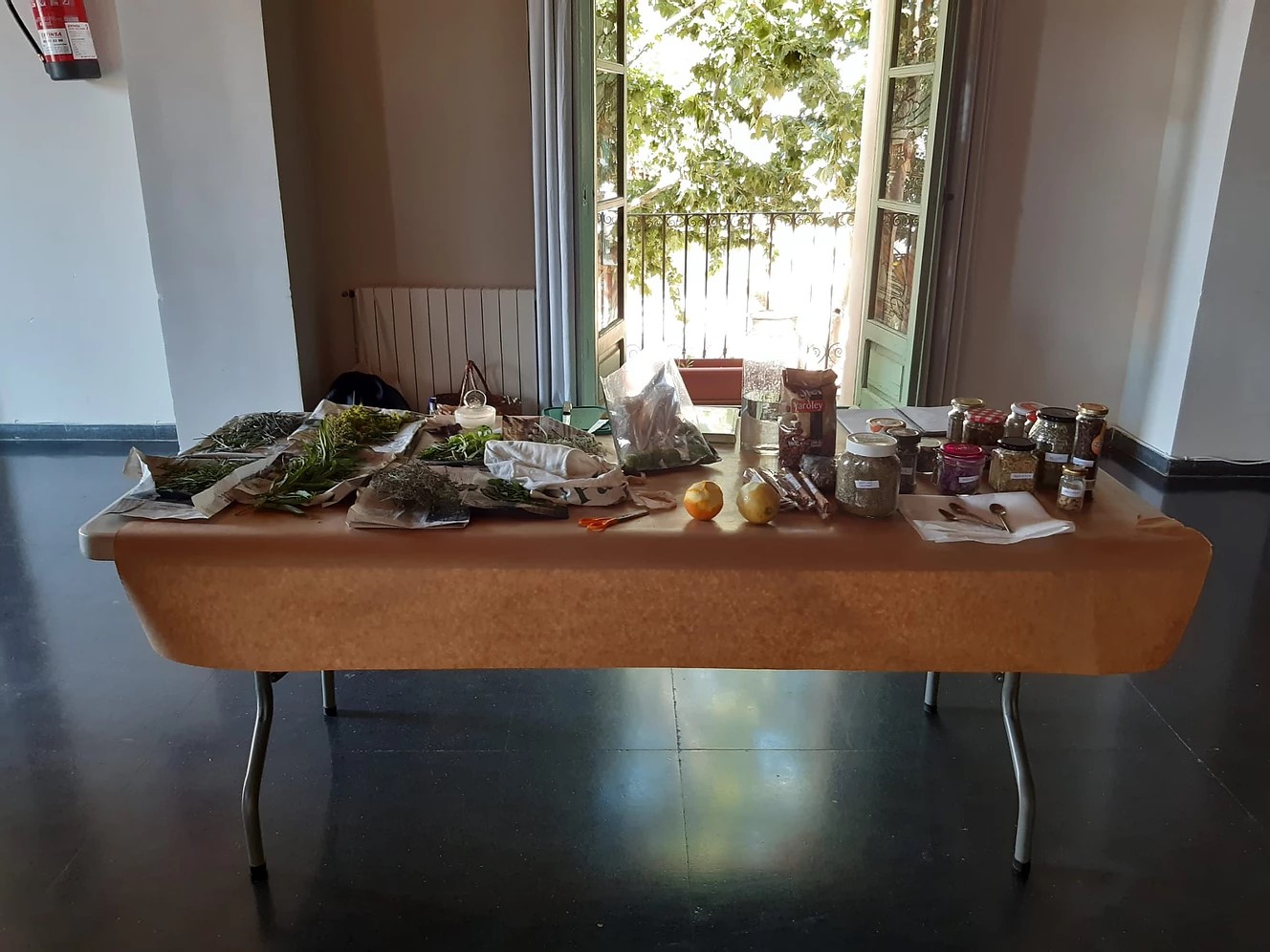 taller ratafia