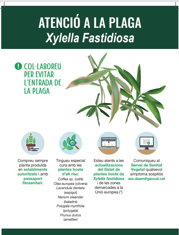 Poster plaga