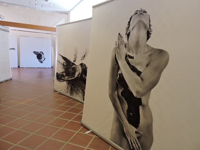 Expo Identitat Esculpida Can Lleonart