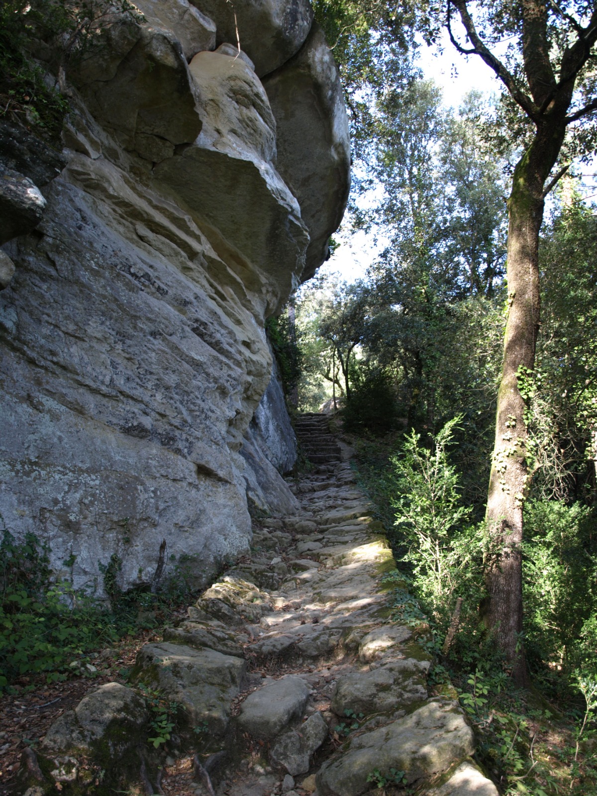 Sortida Savassona