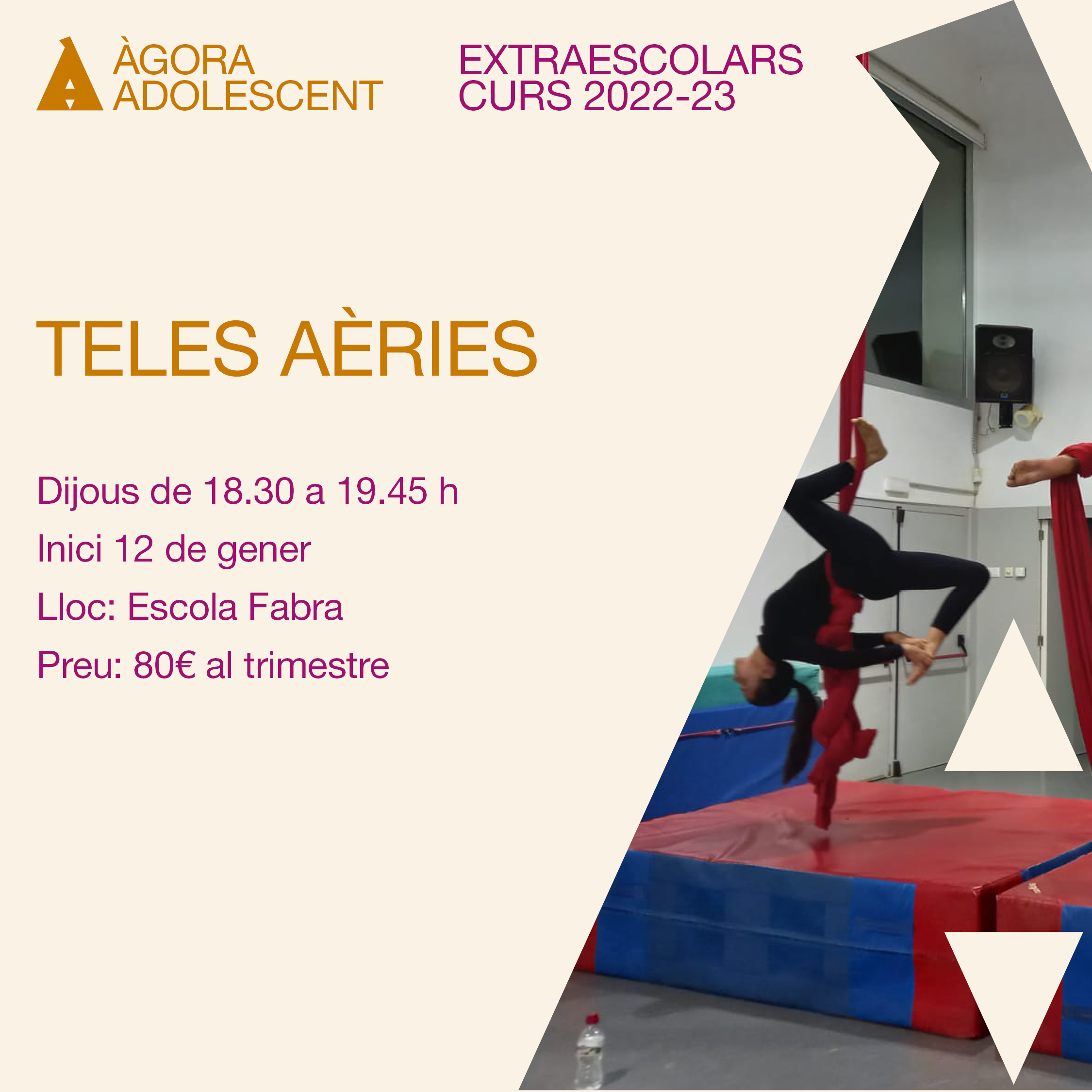 Teles aèries