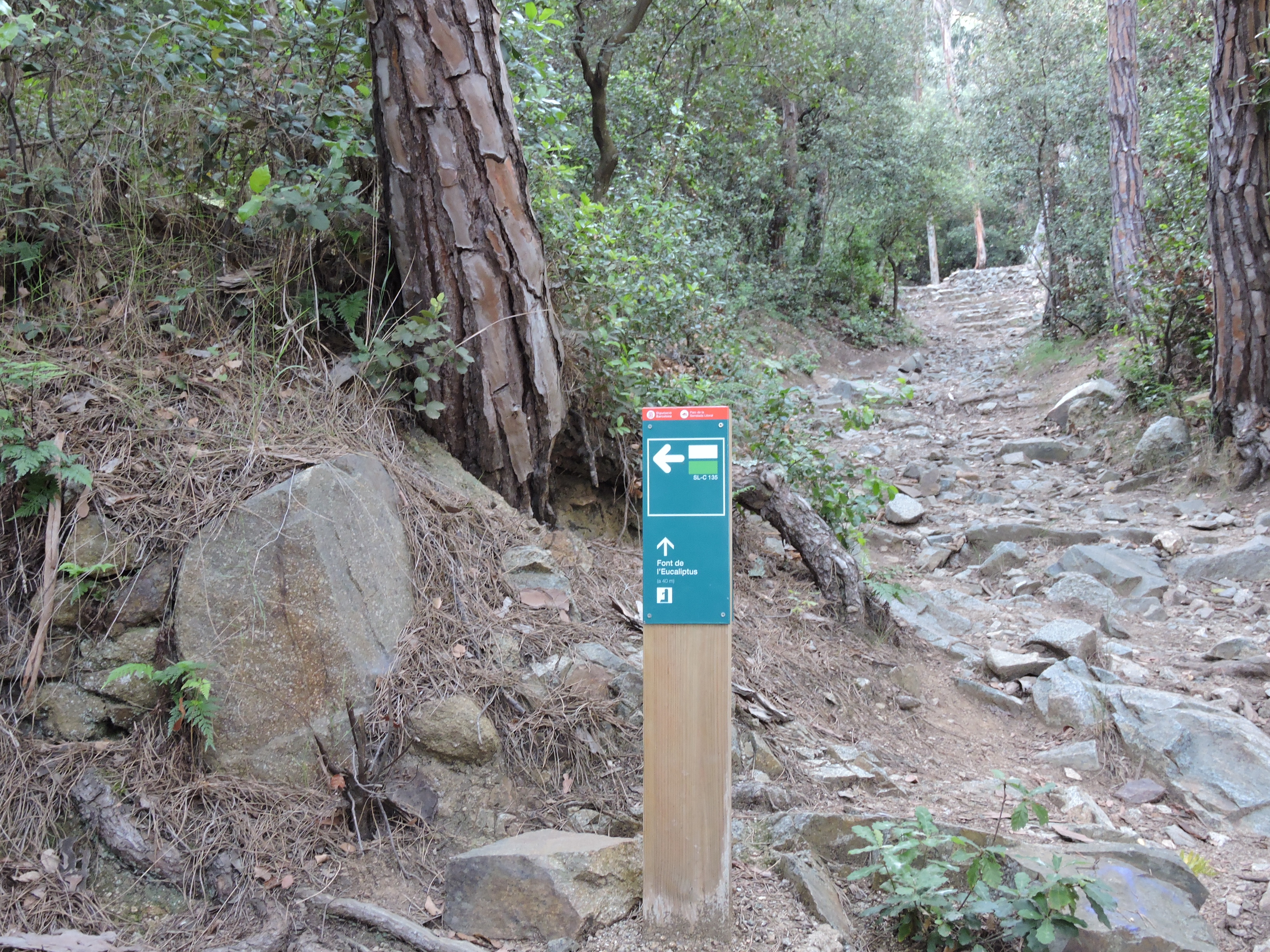 Visita guiada a Les fonts d'Alella