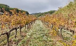 Visita i Maridatge: “Els Colors de la Tardor”