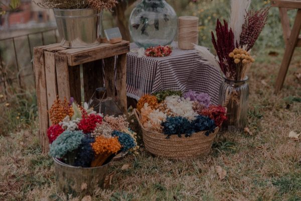 flors nadal i vi
