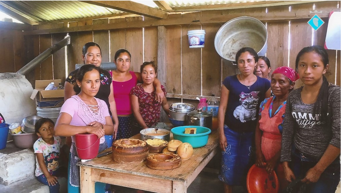 Suport al desenvolupament