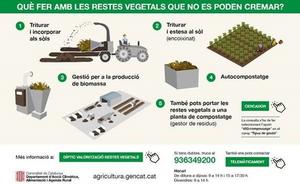 Alternatives a la crema