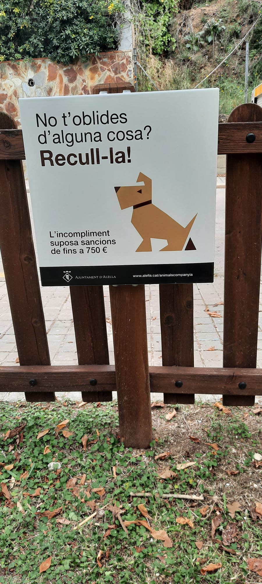 Plaques excrements gossos