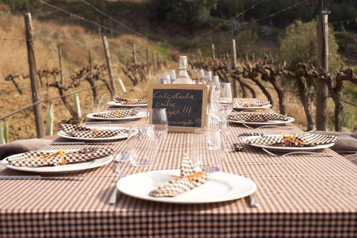Calçotada entre vinyes