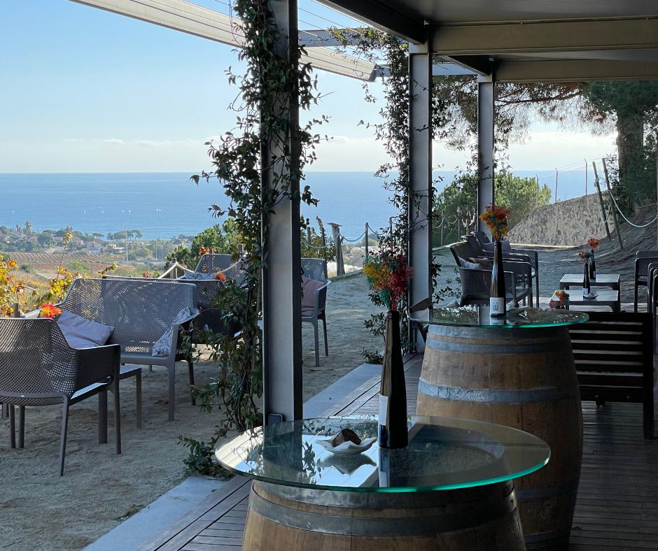 AA Wine bar