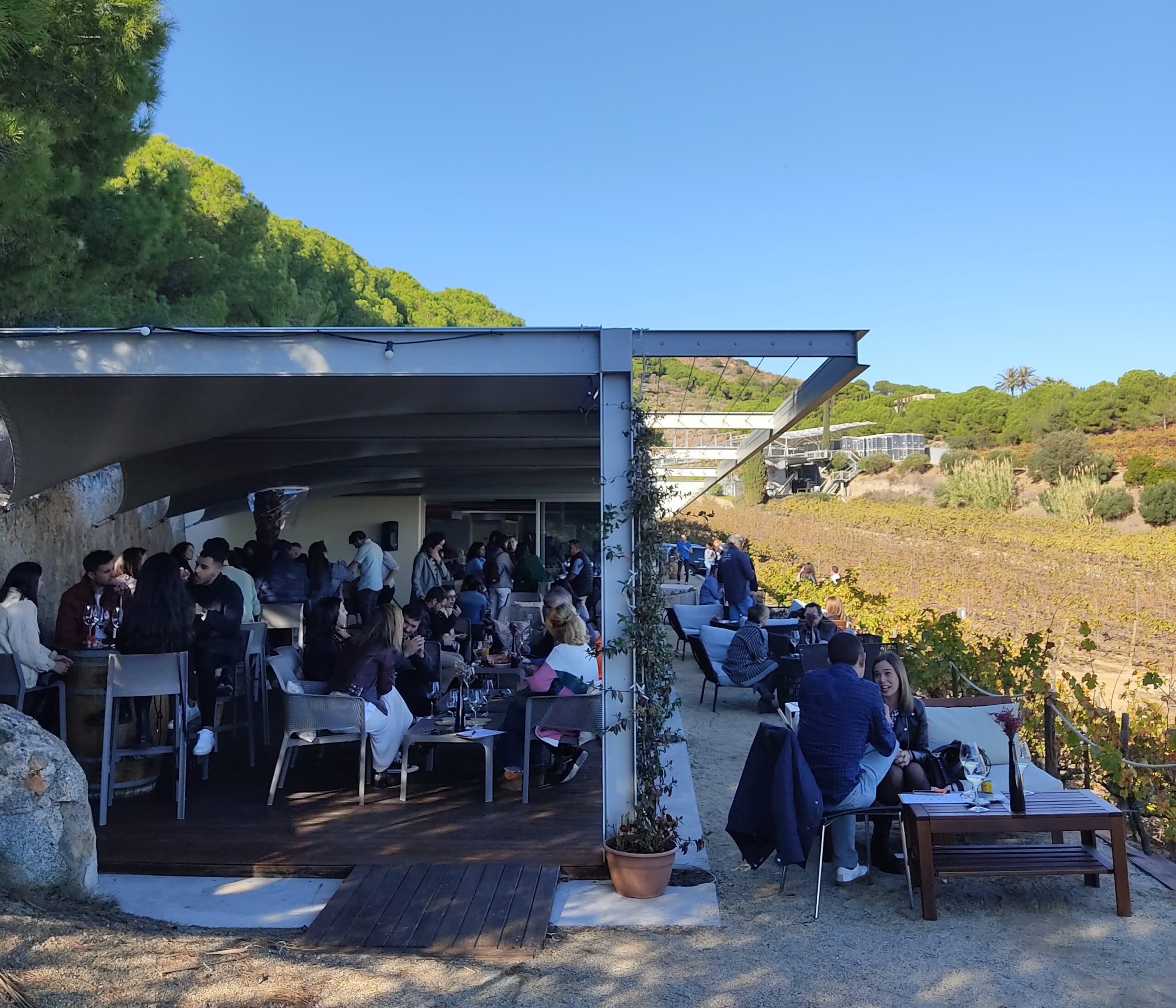 Alta Alella: Wine Bar · Sunset DJ Set