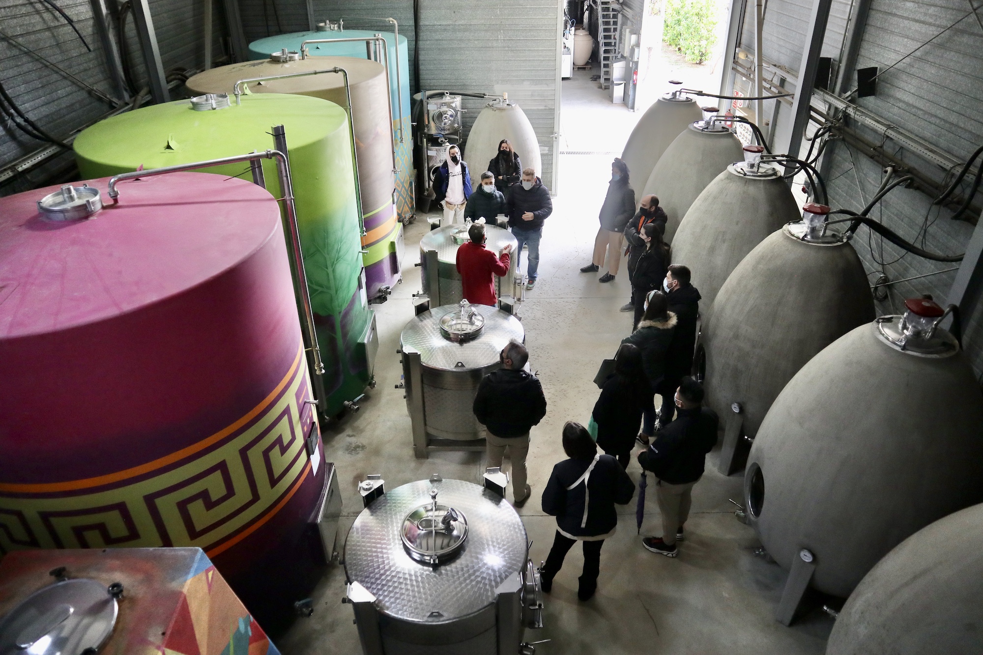 Visita i degustació de vins (Anglès)