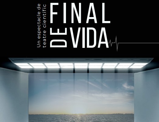 Final de vida