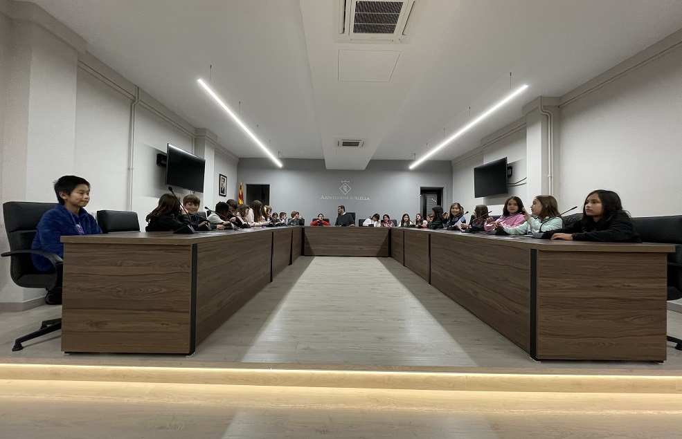 Consell d'Inf�ncia