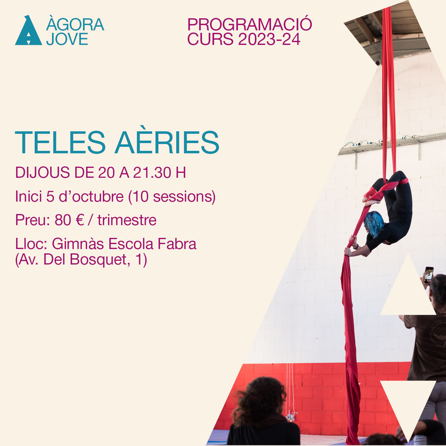 Teles aèries