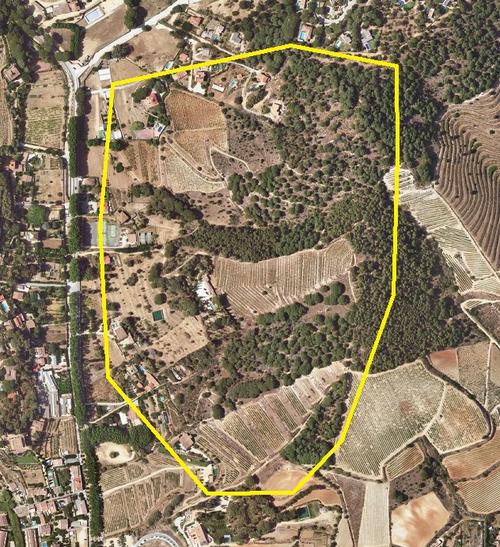 Batudes Can Bouquet a Can Magarola