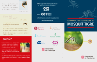 Fullet mosquit tigre