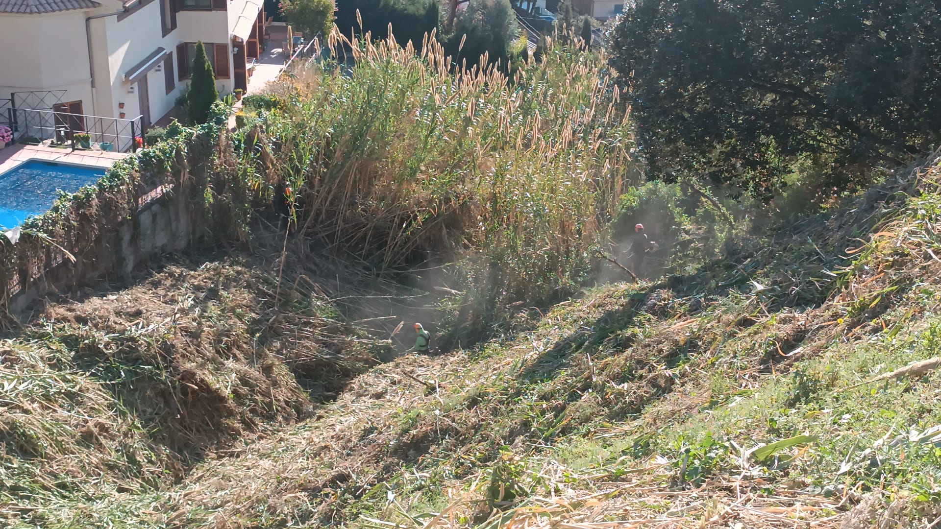 Manteniment franges perimetrals