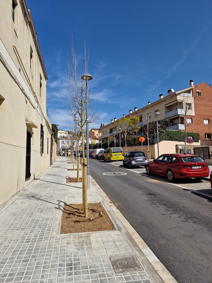 Arbres Torrent Vallbona