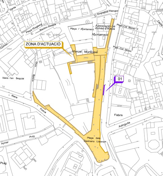 Pl&agrave;nol zona d'actuaci&oacute;