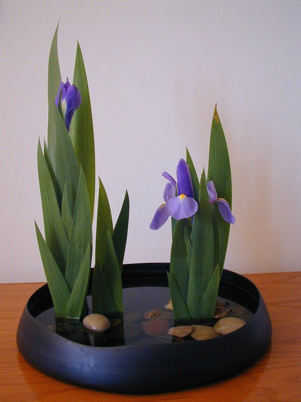 Ikebana