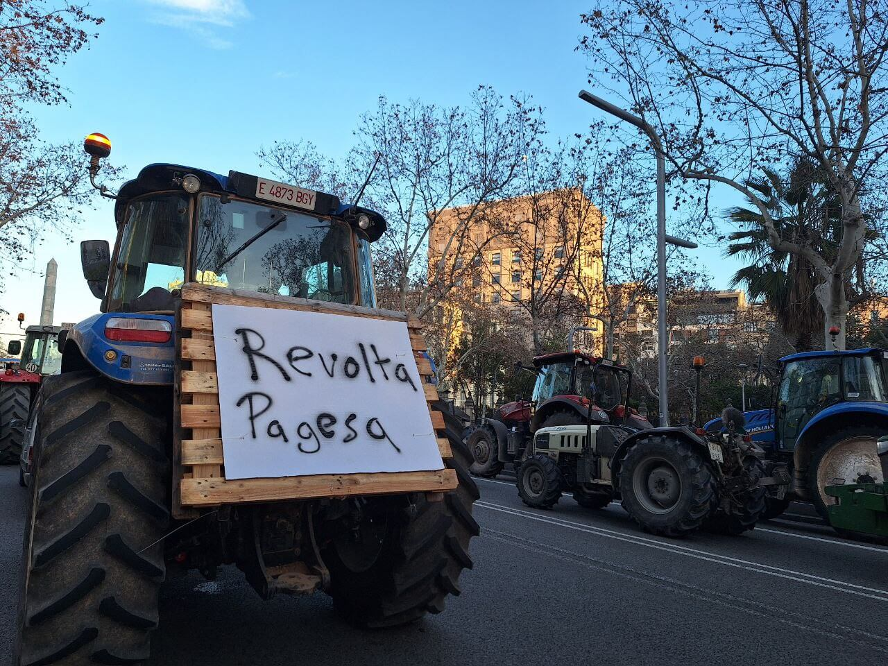 Taula rodona. La revolta pagesa