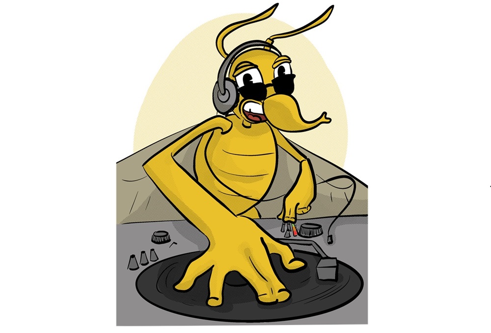 DJ allargada