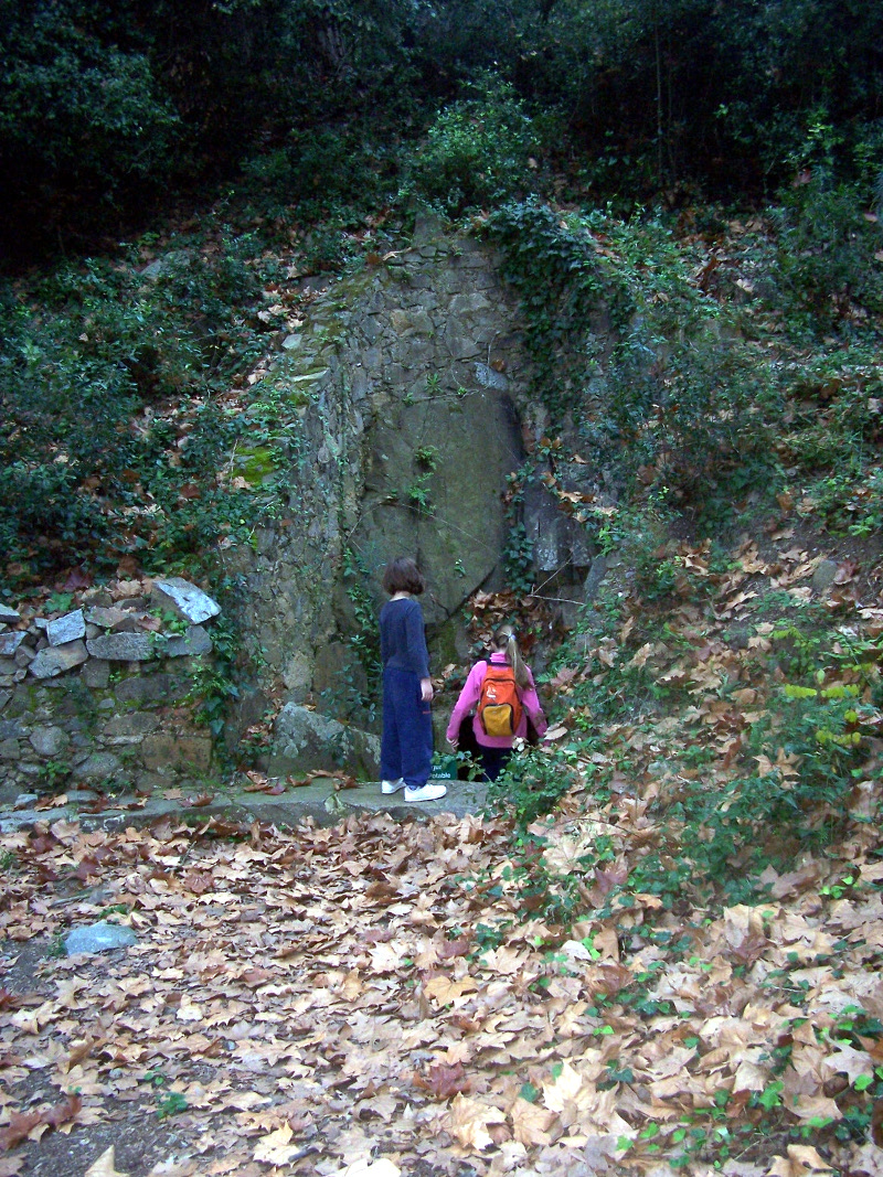 Les fonts alella sortida
