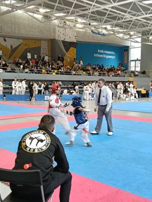 Campionat taekwondo