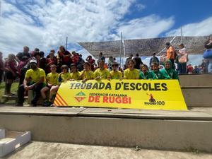 Rugbi