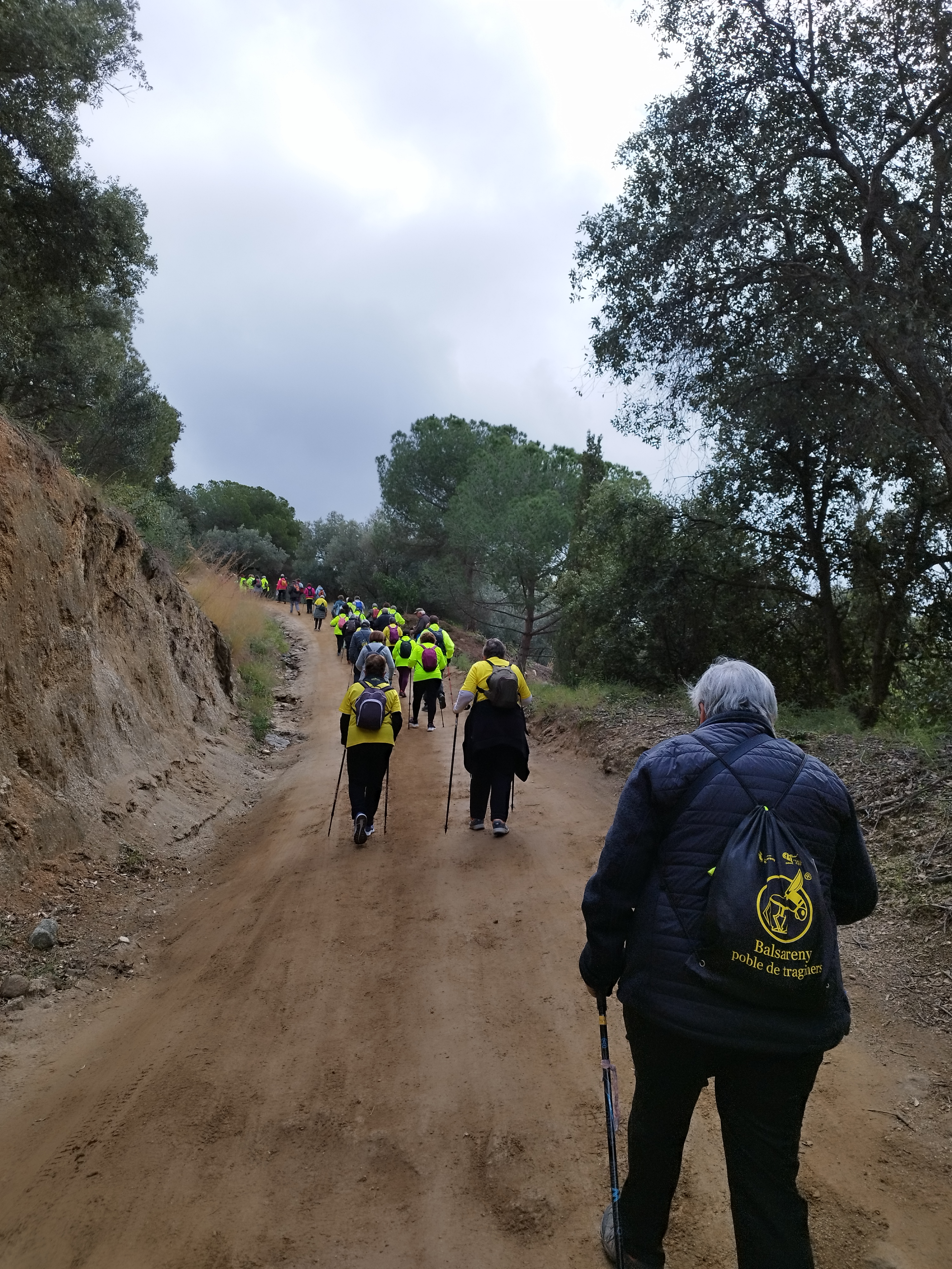Cicle passejades