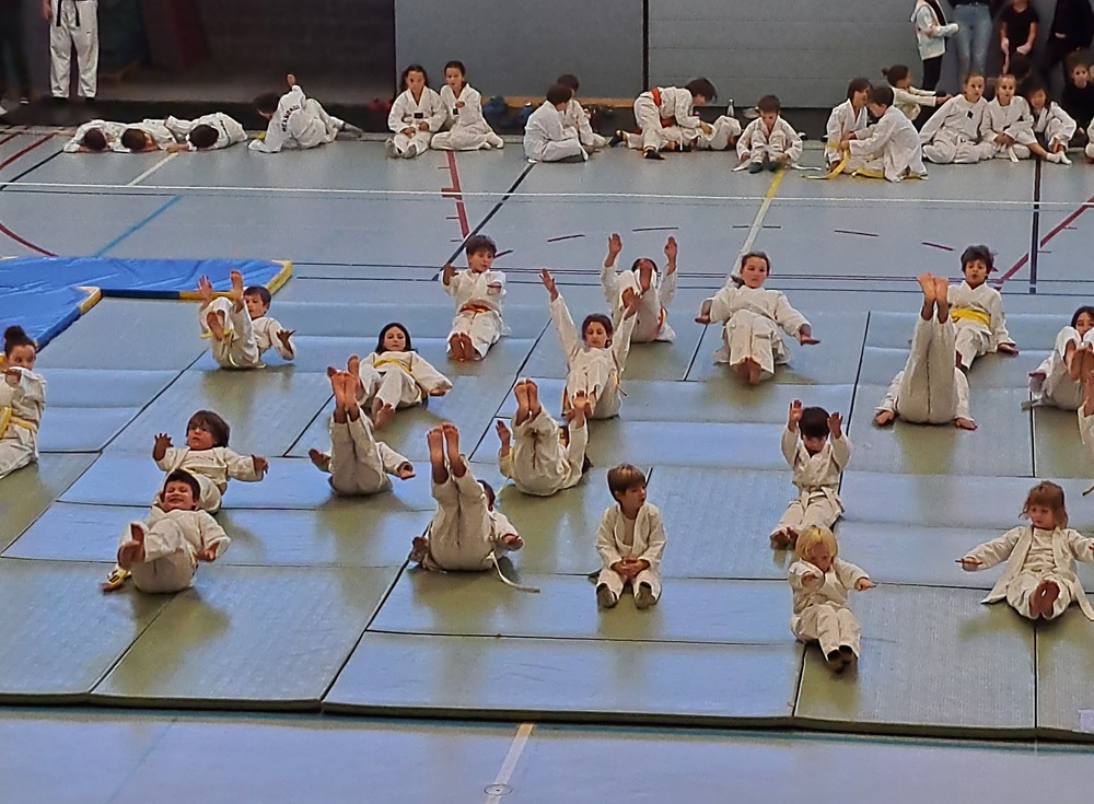 Trobada de judo