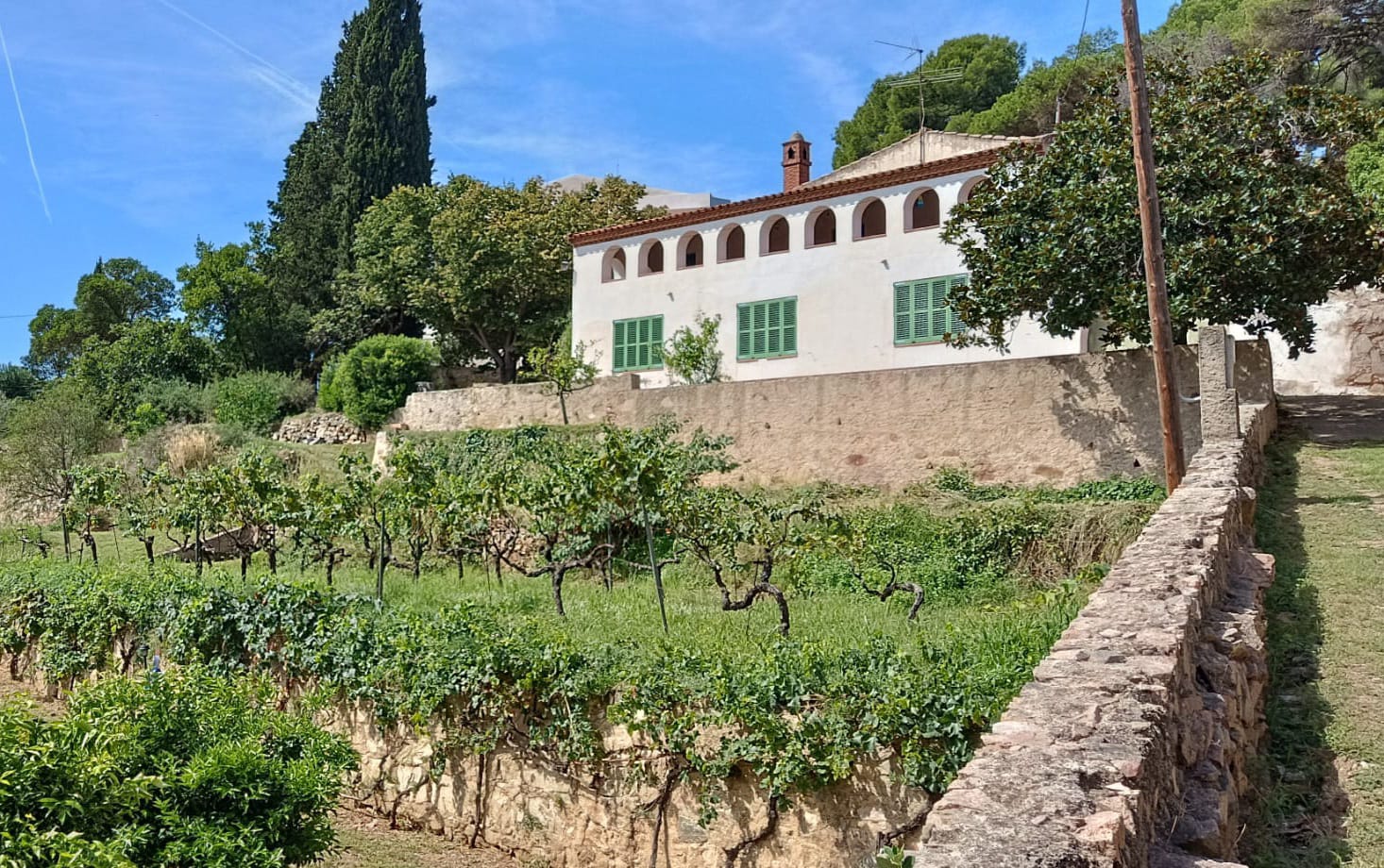 Can Sant Miquel Can Sant Miquel