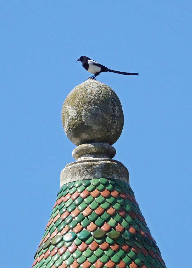 garsa