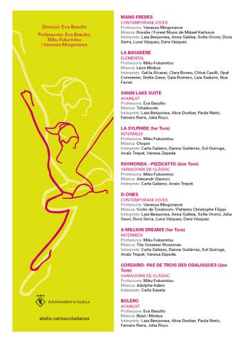 Programa Fi de curs